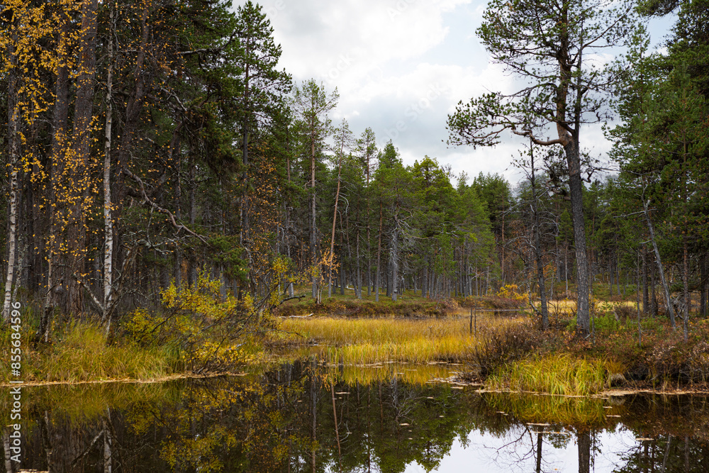 lake in forest in finland lake in forest in finland