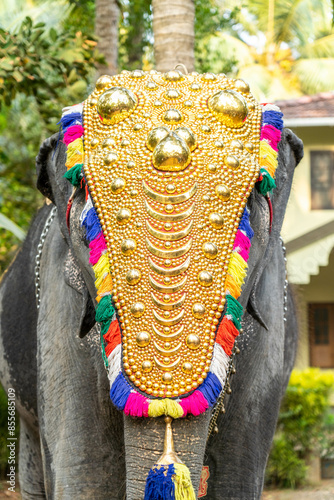 Elephant Kerala Festival