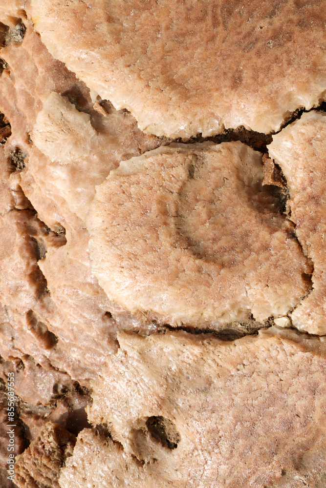texture texture