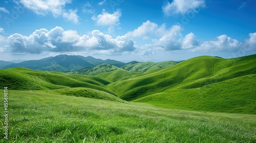 A large, lush green field with a clear blue sky above