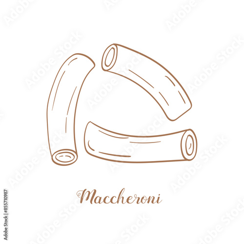 Maccheroni pasta illustration. Vector sketch. Traditional Italian food. Hand-drawn image. Isolated icon