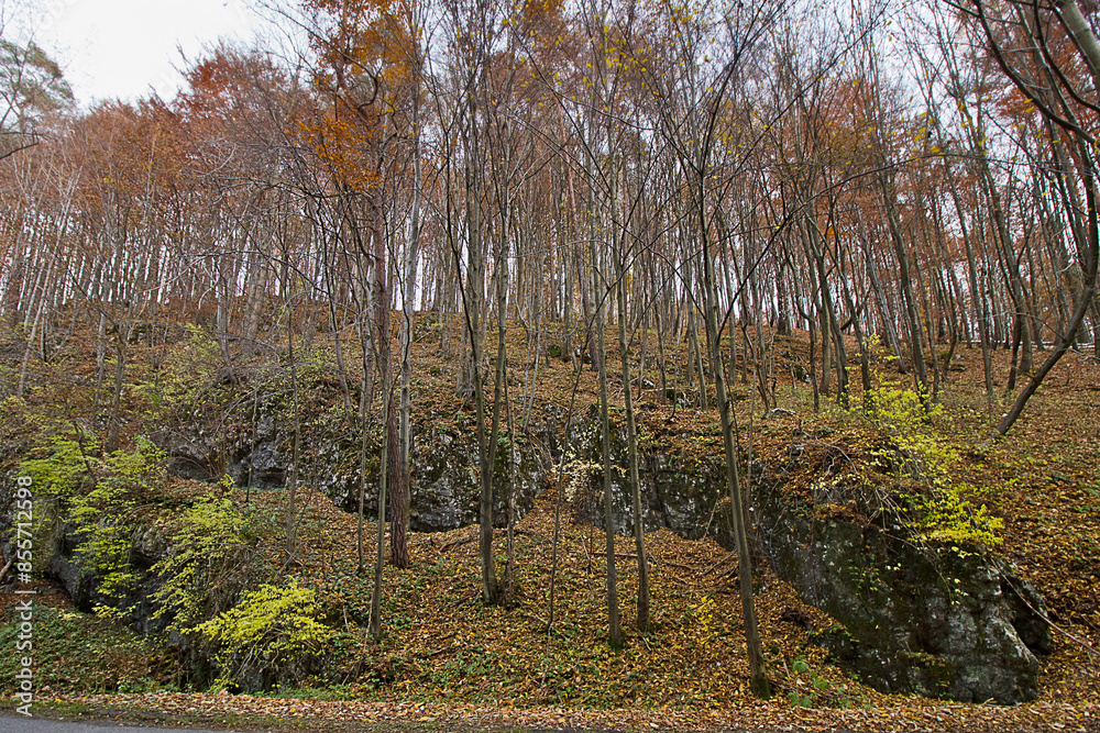 Autumn landscape a rock in an autumnal forest