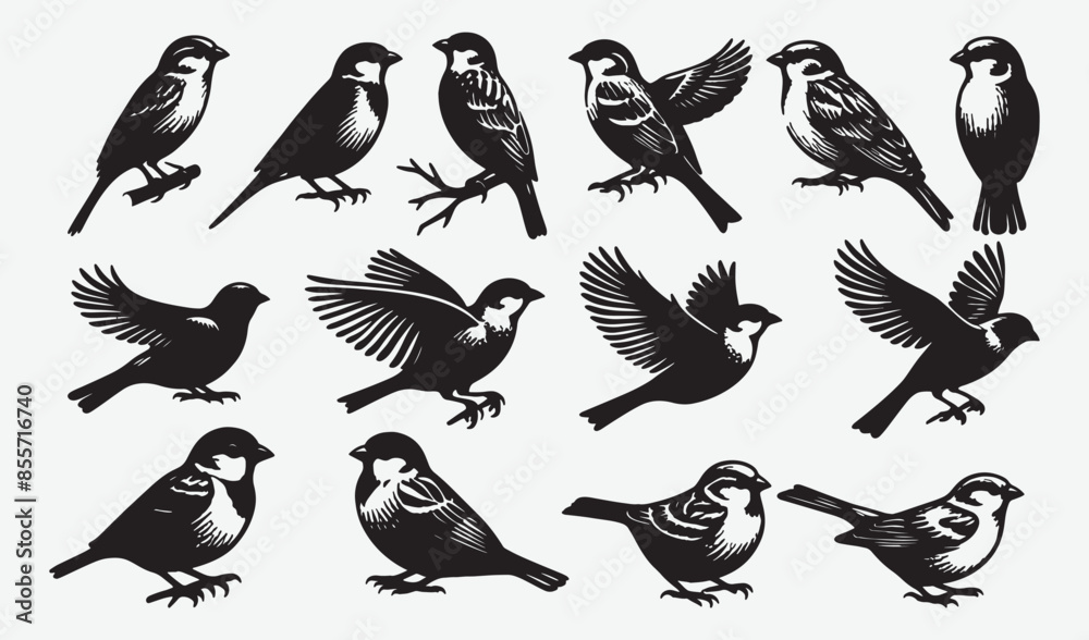Fototapeta premium Birds Silhouette Vector Collection Hand drawn Sparrow