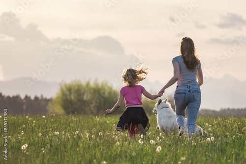 Slika na platnu Idyllic scene of mother, daughter and pet dog happily running in the grass field full of dragonflies