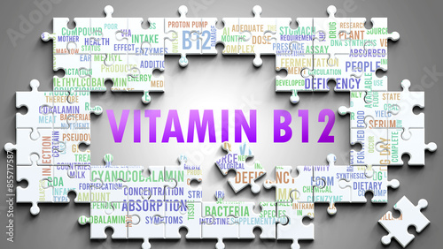 Fotografía Vitamin B12 as a complex subject, related to important topics