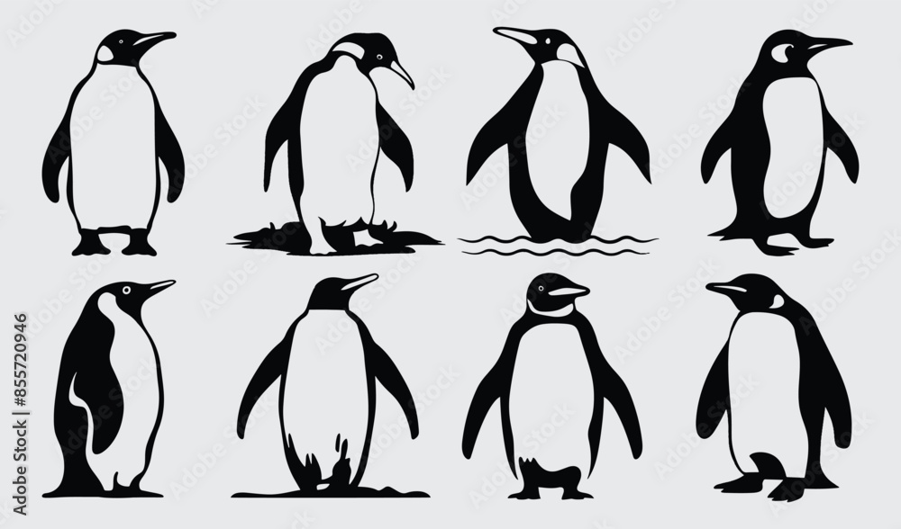 Obraz premium Birds Silhouette Vector Collection Hand drawn Penguin
