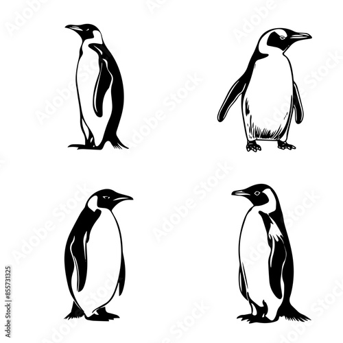 penguins on a white background