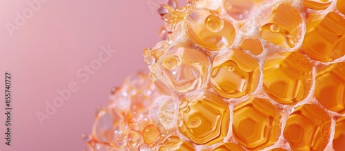 Honeycomb close up isolated...