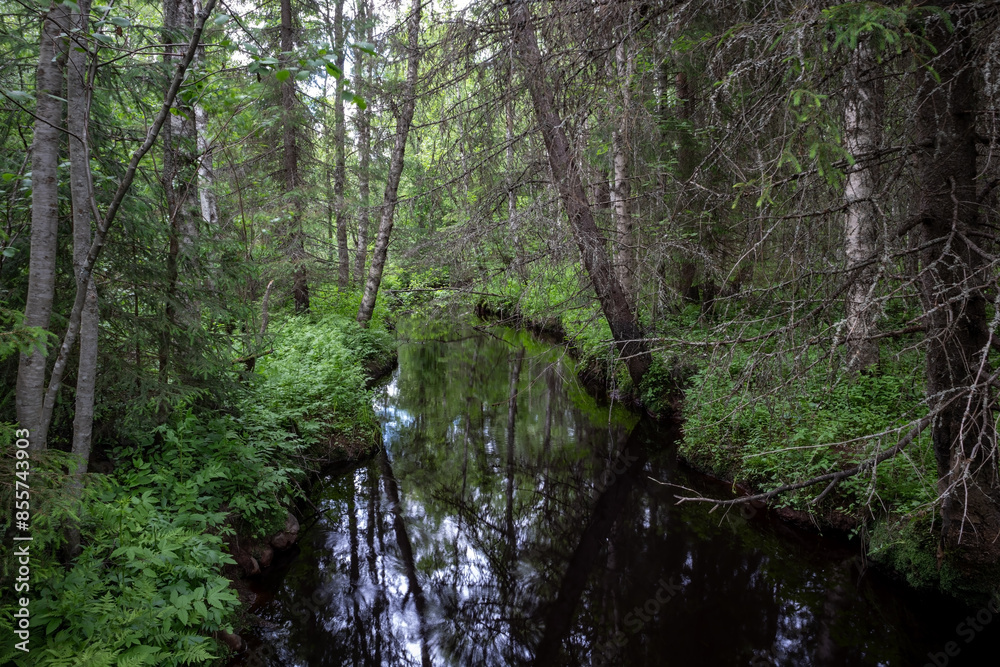 Obraz premium Natural Kalimenoja creek in Oulu, Finland