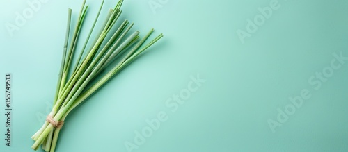 lemongrass Isolated on past...