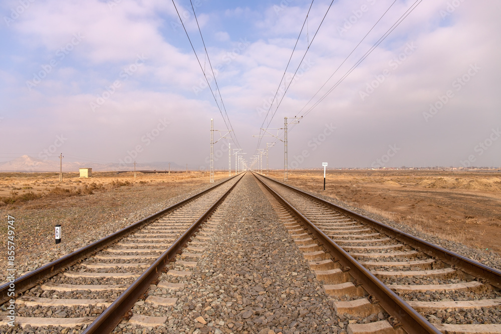 Railroad tracks stretching into the distance. Railroad tracks stretching into the distance.