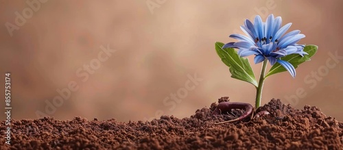 Blue flower with green leaf...