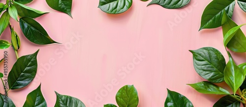 cycle leaf frame for text o...