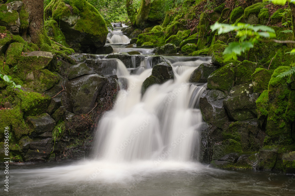 Nixenteich, Rhön Nixenteich, Rhön