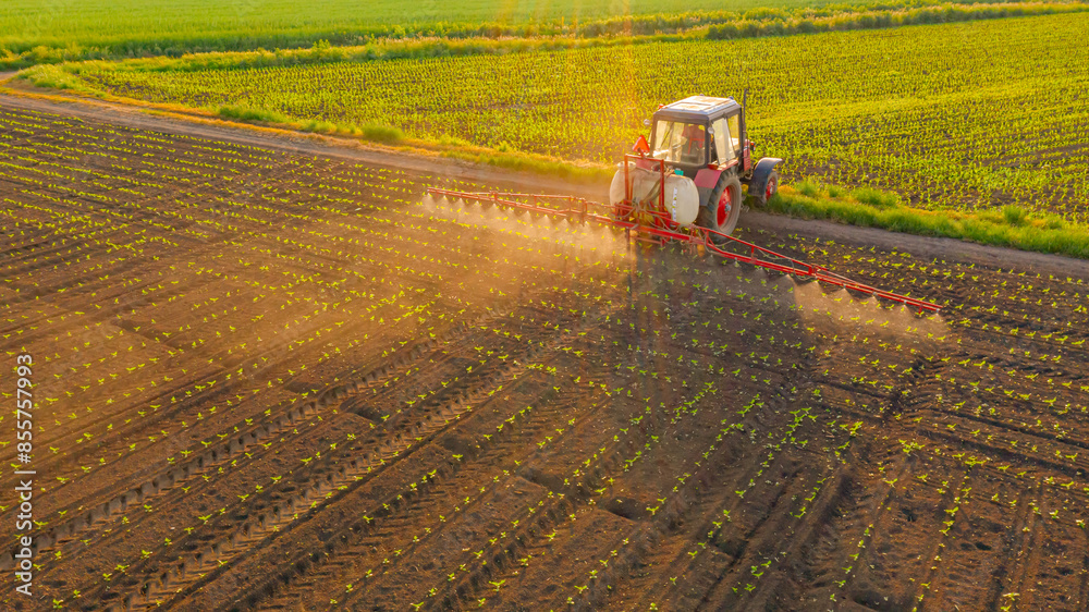 Obraz premium Aerial view on tractor as spraying field with sprayer, herbicide and pesticide