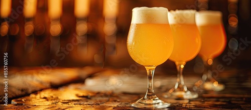 Brazilian Craft Beer - Cath...