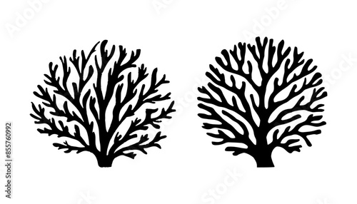 sea corals and seaweed black silhouette vector isolated