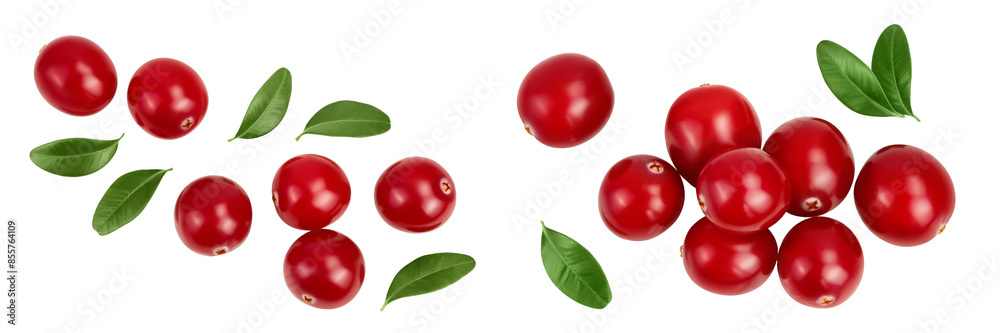 Cranberry with leaves isolated on white background with full depth of field. Top view. Flat lay Cranberry with leaves isolated on white background with full depth of field. Top view. Flat lay