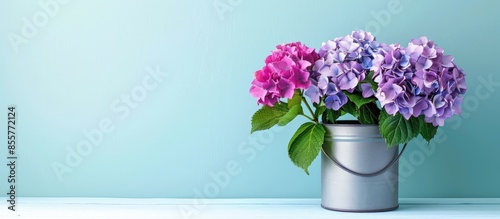 Beautiful hortensia flowers...