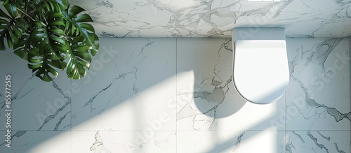 Top view of toilet bowl and...