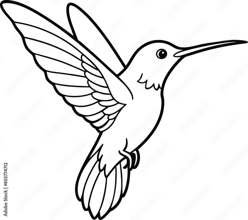 Obraz premium Hummingbird vector lineart drawing design