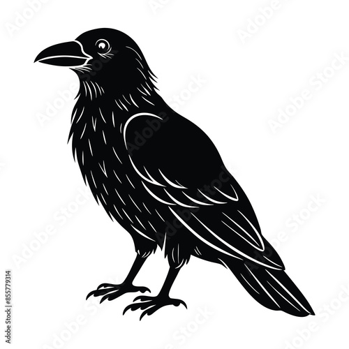 crow silhouette on a white background