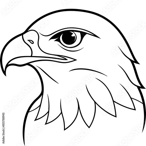 Hawk head vector line art and linocut illustration
