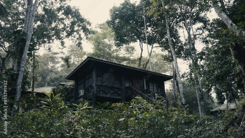 cabin in rain forest in borneo cabin in rain forest in borneo