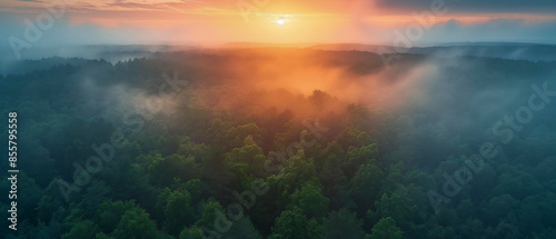 Beautiful sunrise over dense forest. Sky is colored in orange and pink. Trees are deciduous and evergreen. Image generated by AI