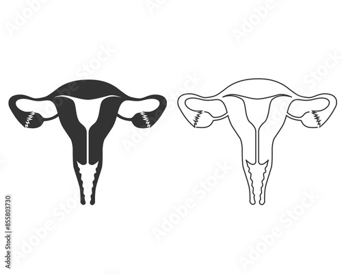 Female reproductive organs line icon. Uterus sign in the circle isolated on white background. Female reproductive system symbol. Vector icon flat sign