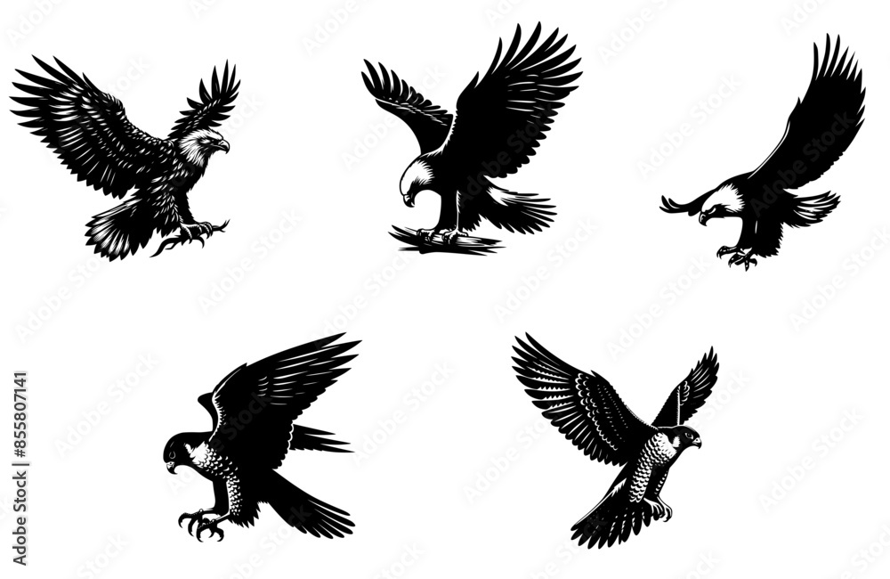 eagle vector set eagle vector set