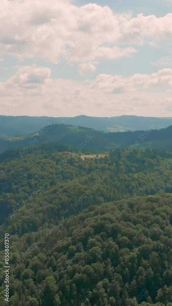 Fantastic view of mountain during summer