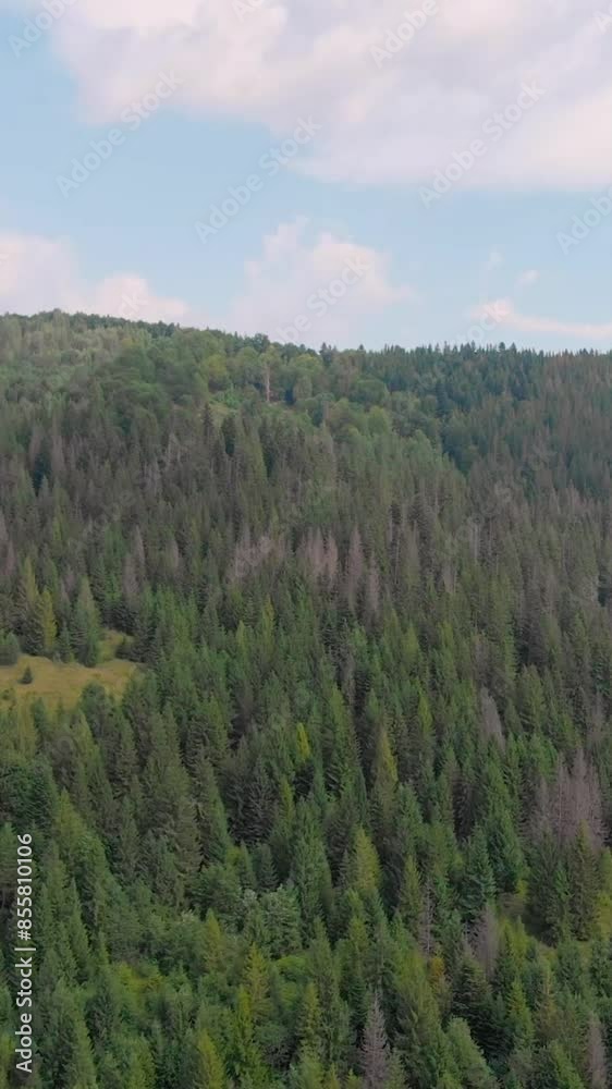 Fantastic view of mountain during summer