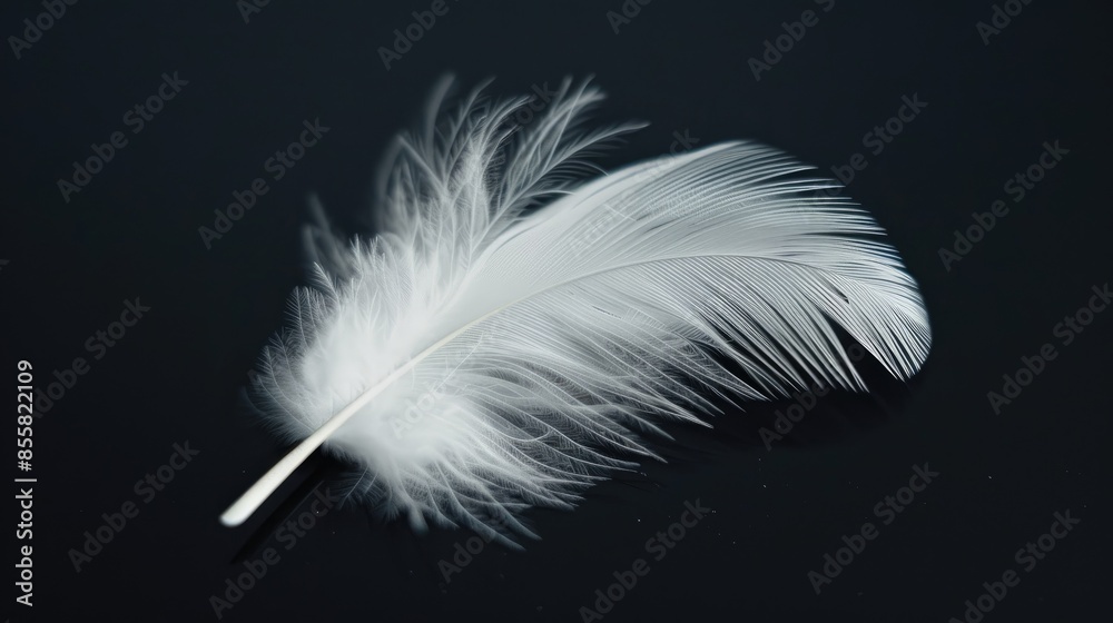 Obraz premium Macro white feather on black background