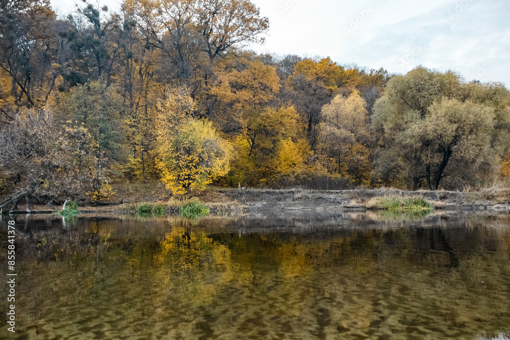 Golden autumn forest on river with trees mirror reflection on calm water surface Golden autumn forest on river with trees mirror reflection on calm water surface