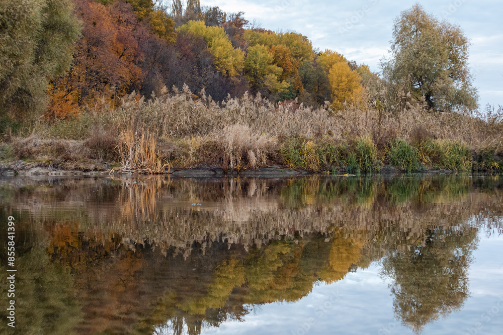 Scenic vibrant autumn riverside, nature with colorful trees reflecting in mirror of river waters Scenic vibrant autumn riverside, nature with colorful trees reflecting in mirror of river waters