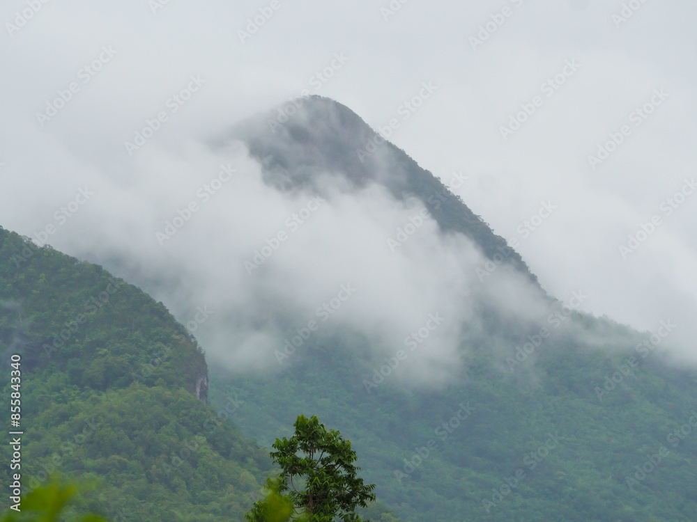 Fototapeta premium Fog on the mountains in the rainy season