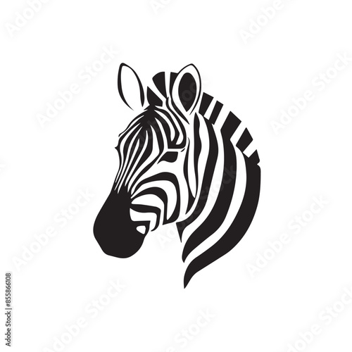 African Zebra vector arts.