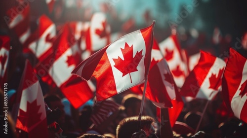 Silhouettes of People Holding Flag of Canada