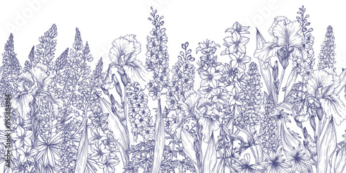 Seamless horizontal vector pattern of blooming garden. Platycodon campanula, delphinium, lupine and iris