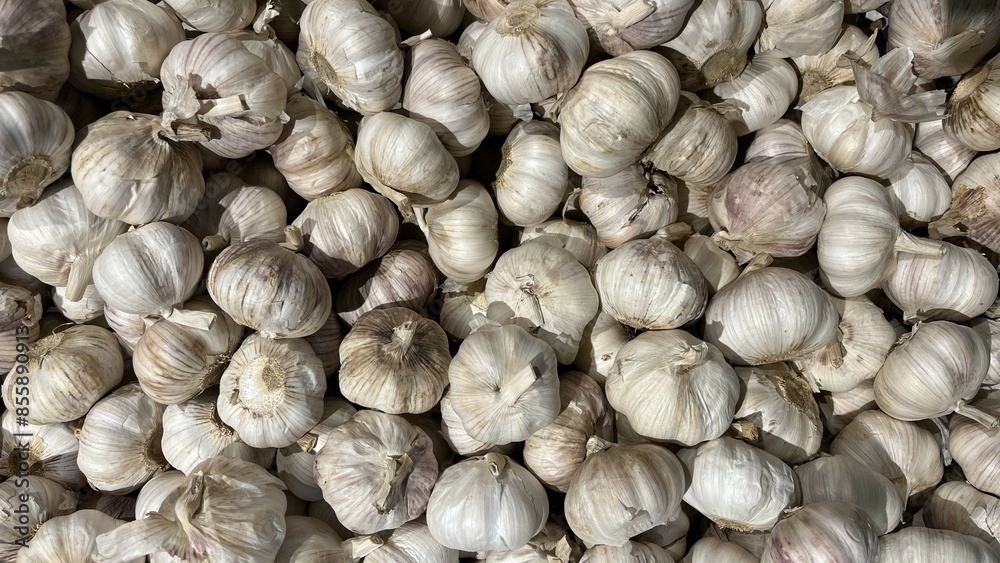 full frame of garlic on market. Garlic background full frame of garlic on market. Garlic background