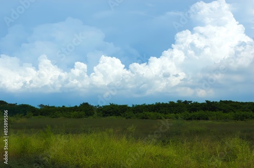 Empty land with grass against the backdrop of thick clouds in the blue summer sky. Cloudy bright beauty in the sun, bright and calm summer air background.