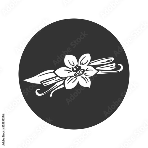 Vanilla Pod Icon, Orchid Bean Sticks, Dry Vanillin Pods, Natural Aroma Dessert Ingredient, Vanilla Planifolia Stick, Vector Flat sign