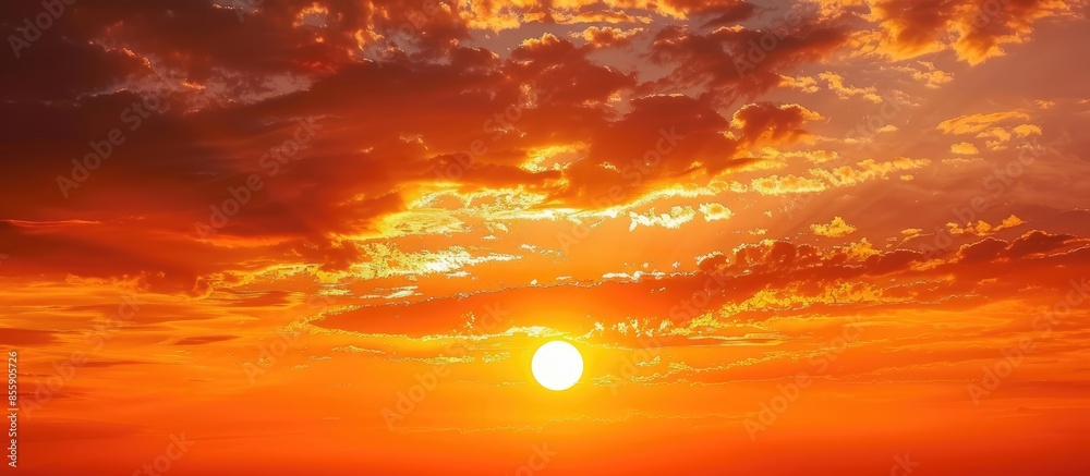 Fototapeta premium Deep orange sundown in sky at sunset. Sundown silhouette in sunset sky. Copy space image. Place for adding text or design