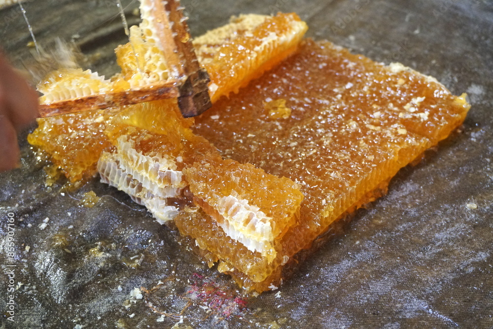 Fototapeta premium Honey cells on fabric, ready for press. Mechanical honey press from fabric. Honey processing