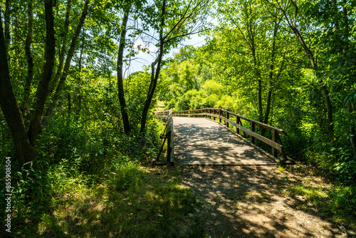 Fototapeta Naklejka Na Ścianę i Meble -  Footbridge in Monmouth Battlefield State Park, Manalapan, NJ 