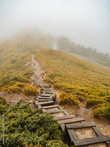 mountain road in the clouds, Mount Hehuan, Taiwan