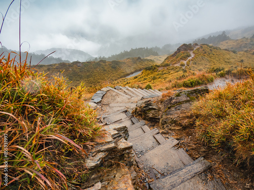 mountain road in the clouds, Mount Hehuan, Taiwan