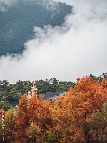 The castle in the mountains with sequoia trees.