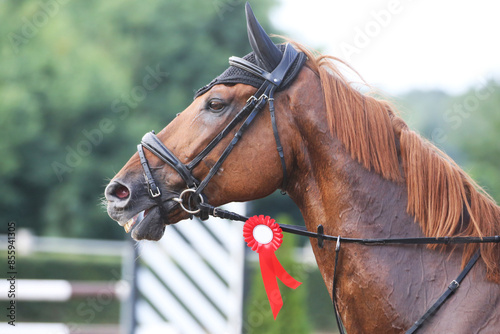  Equestrian sports and victory. Riding a horse. Equestrian background. photo